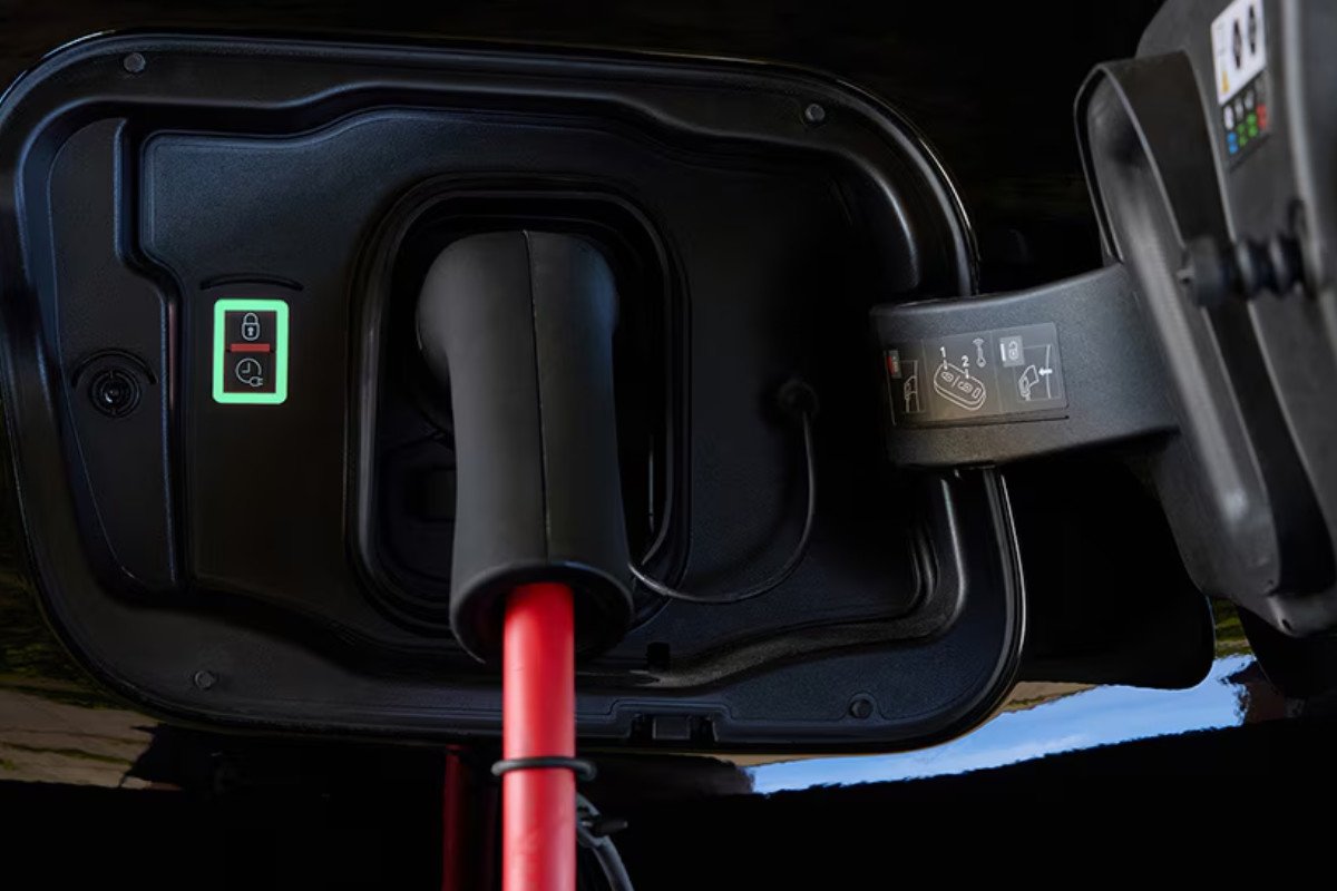 Guía de compra DS Nº4