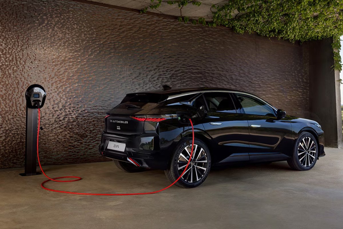 Guía de compra DS Nº4