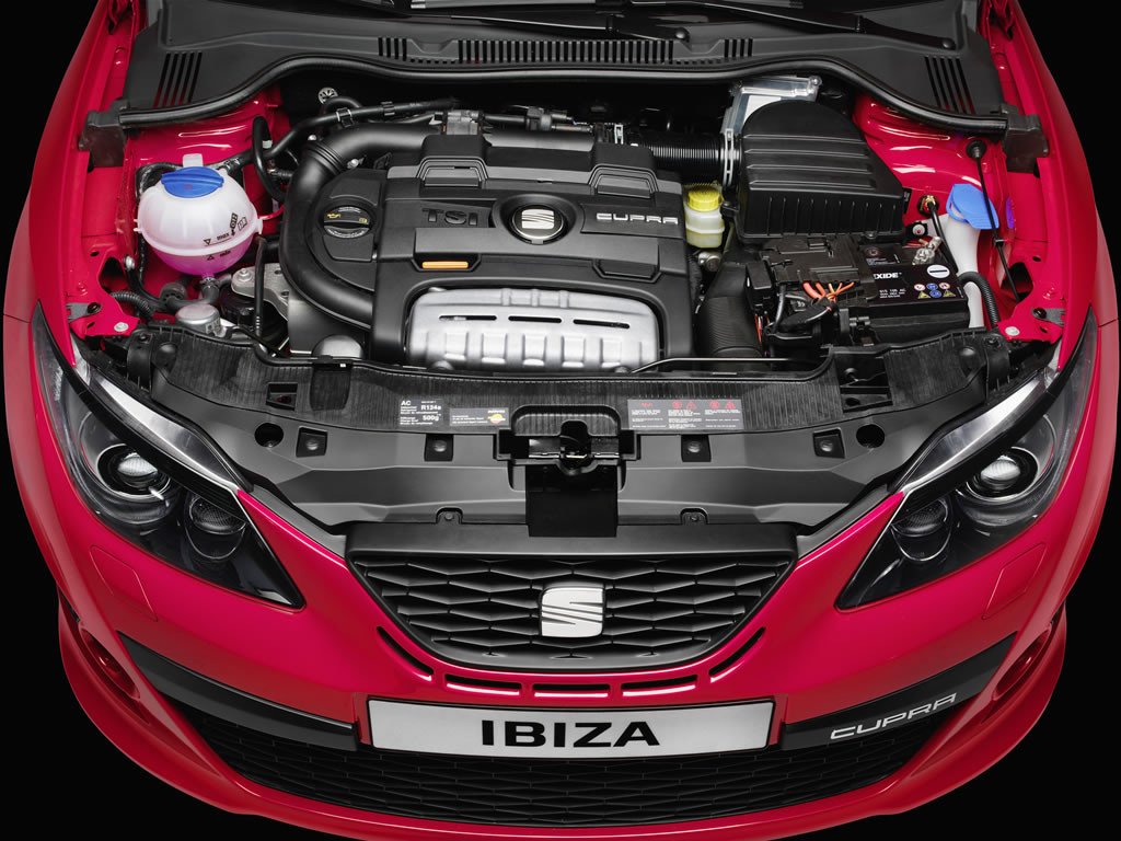 Seat Ibiza Cupra: ¿compra recomendable?
