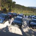 Prueba de las ediciones especiales del Ford Ranger: Wolftrak, Stormtrak y Raptor SE 