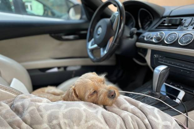 Dormir en el coche: consejos prácticos según los expertos para hacerlo cómodo y seguro