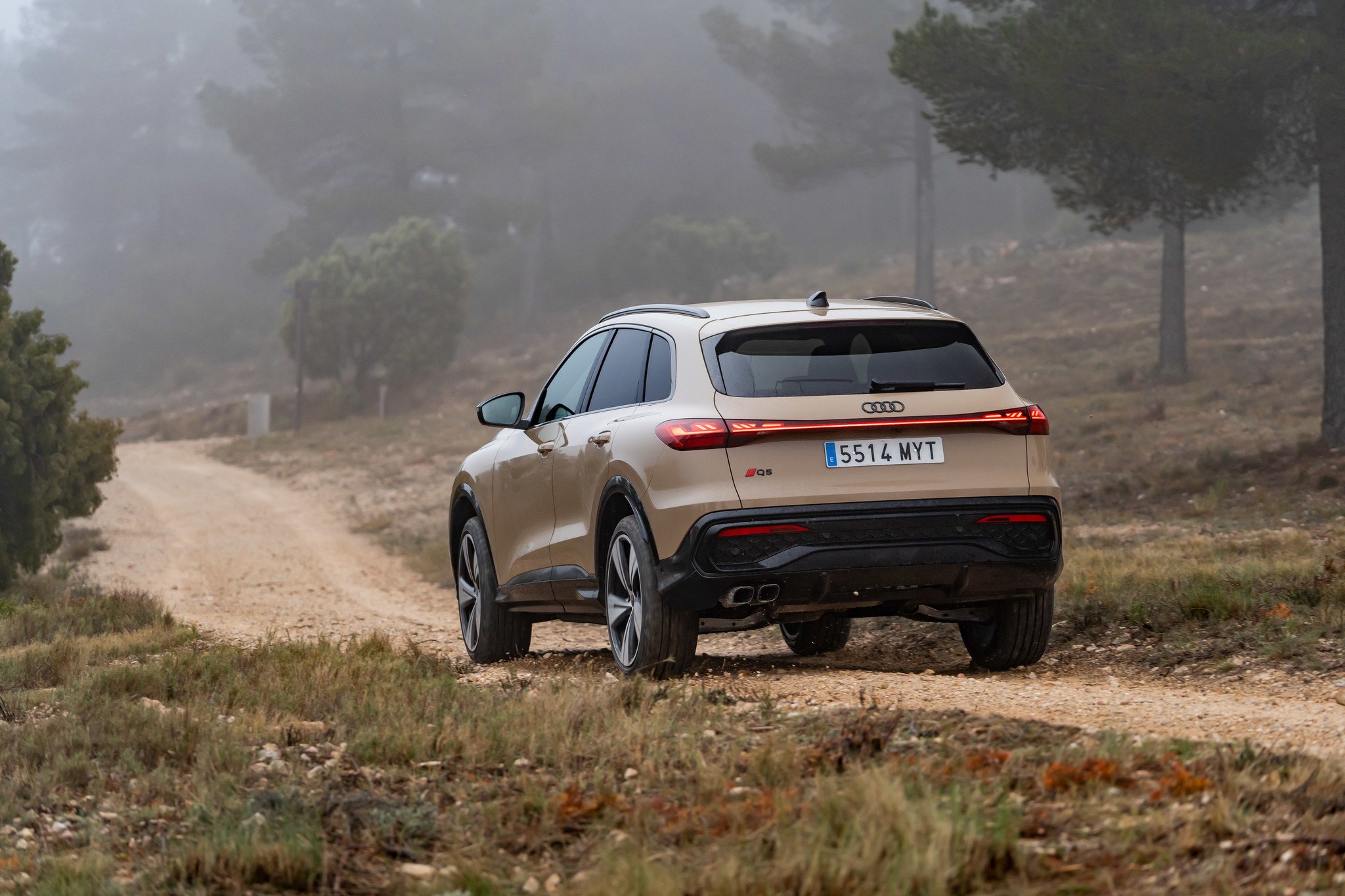 Audi Q5 2025 Conducción Trasera 1