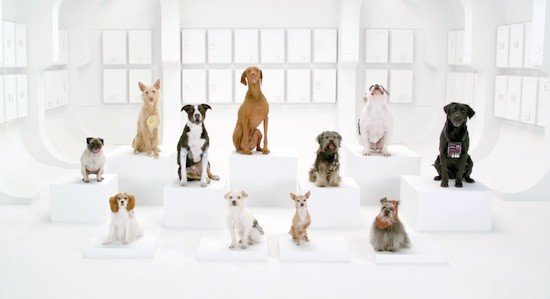 Vídeo: Volkswagen y Star Wars, The Bark Side