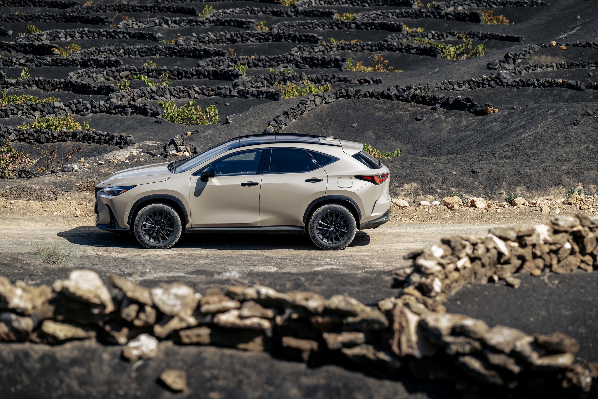Lexus-NX-Overtrail