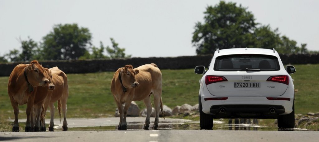 Coches Híbridos: Gama Hybrid de Audi