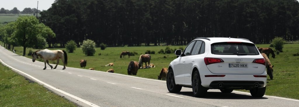 Coches Híbridos: Gama Hybrid de Audi