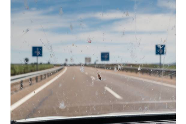Motivos por los que ahora se estrellan menos mosquitos que antes