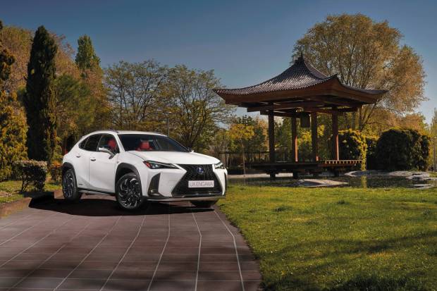Nuevos Lexus UX 250h Engawa y LC 500h Matte Prototype
