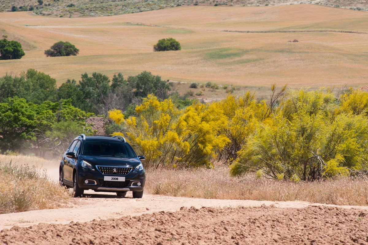 ¿Qué son los Peugeot SUV Trophy?
