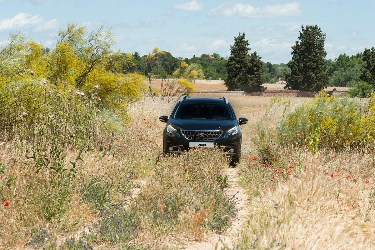 ¿Qué son los Peugeot SUV Trophy?