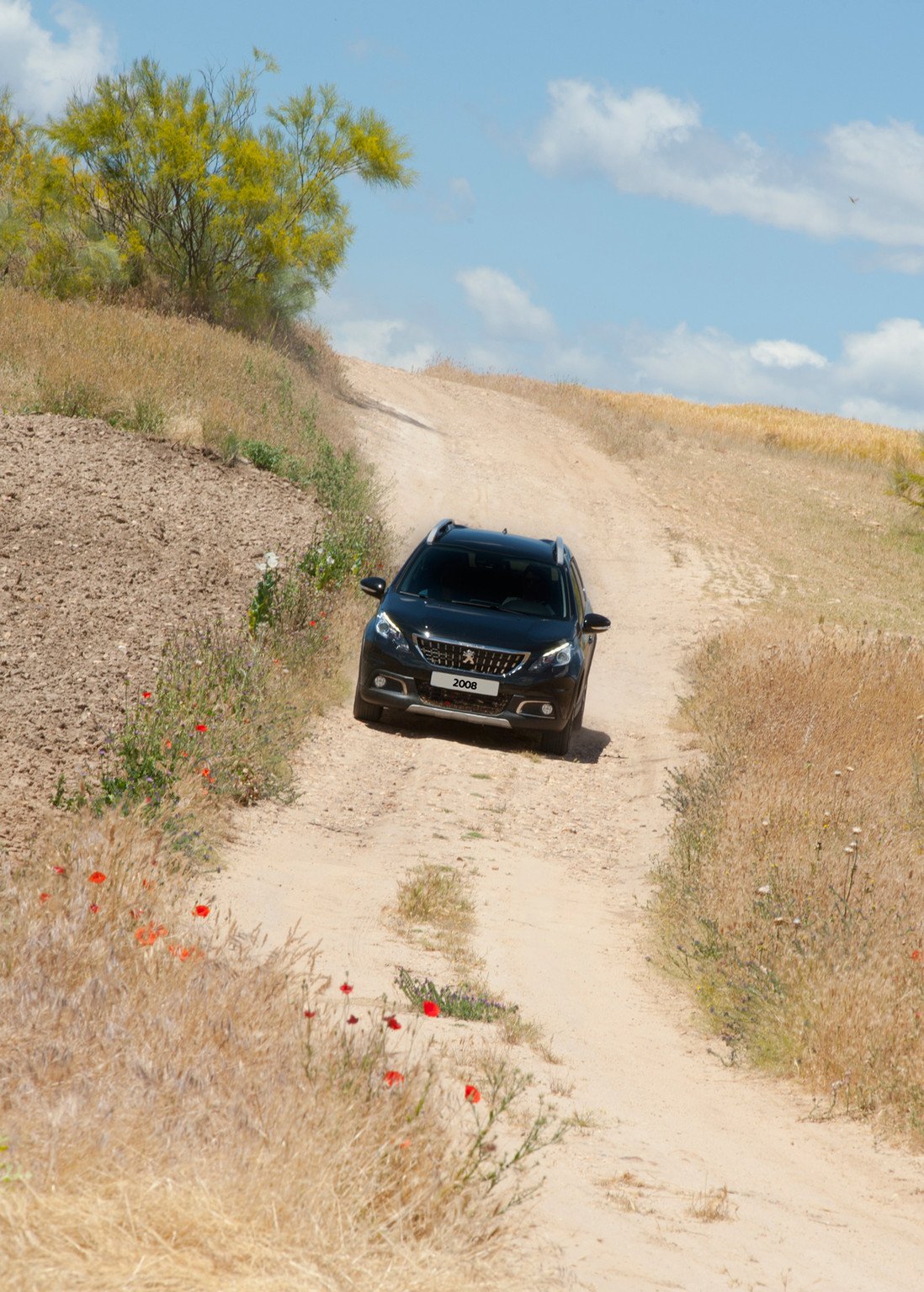 ¿Qué son los Peugeot SUV Trophy?
