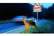 Accidentes con animales: la responsabilidad del conductor