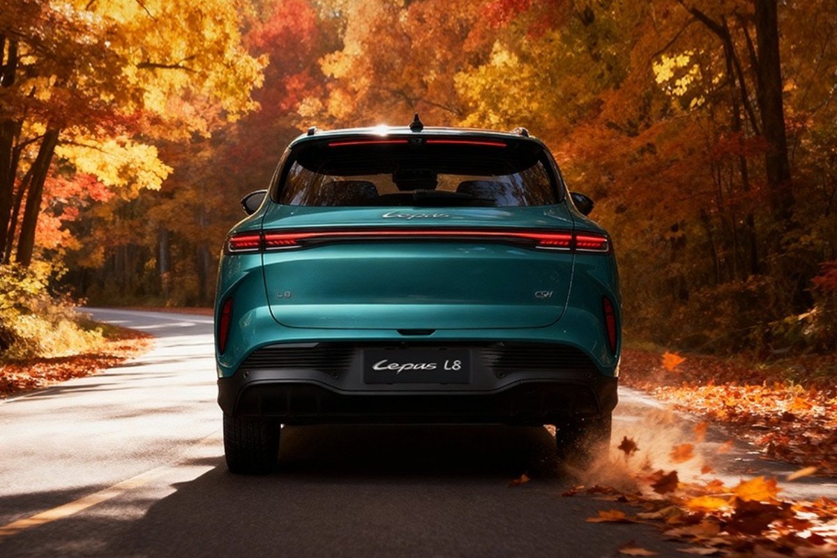 10 preguntas para conocer LEPAS