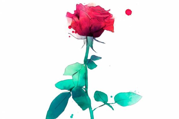 Manda una rosa y un poema con SEAT por Sant Jordi