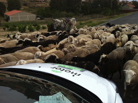 Prueba de consumo: Ford Focus Ecoboost en el Eco Rally Vasco Navarro