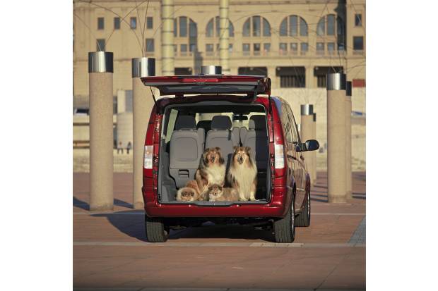 Cómo llevar con seguridad a los perros en el coche
