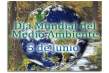 Día Mundial del Medio Ambiente: Consejos prácticos para ahorrar combustible
