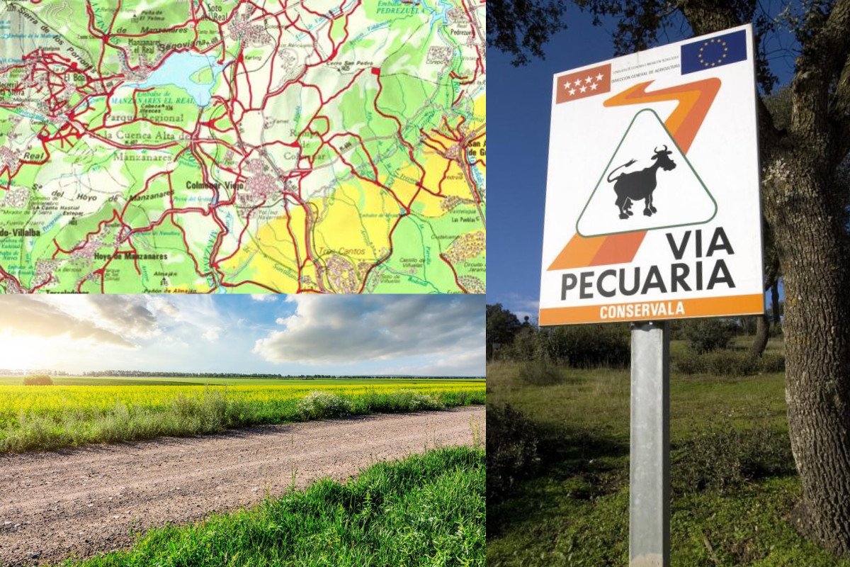 caminos rurales