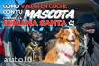 Los mejores consejos para viajar en coche con tu mascota durante la Semana Santa 2025