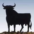 La leyenda de los Toros de Osborne: de mito cultural a casi ser retirados por ley