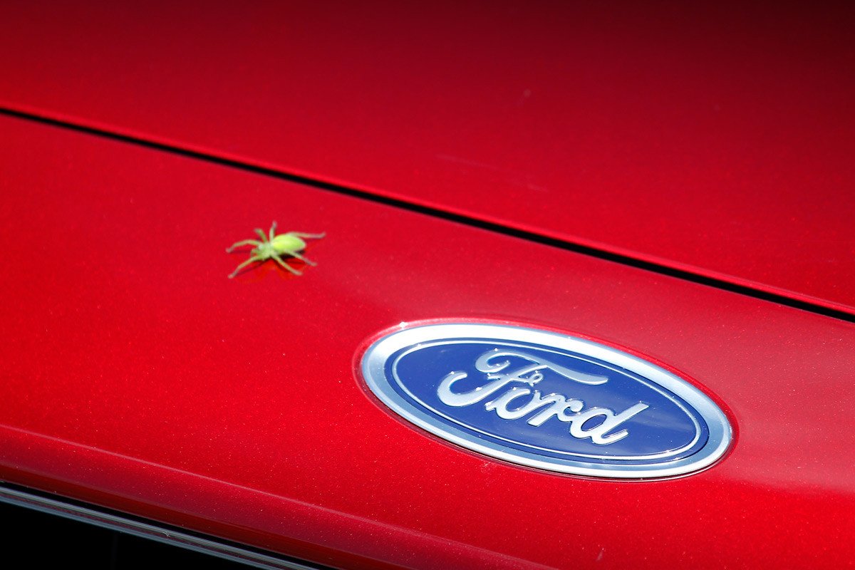 Prueba Ford Mondeo, ¿cuál me compro?