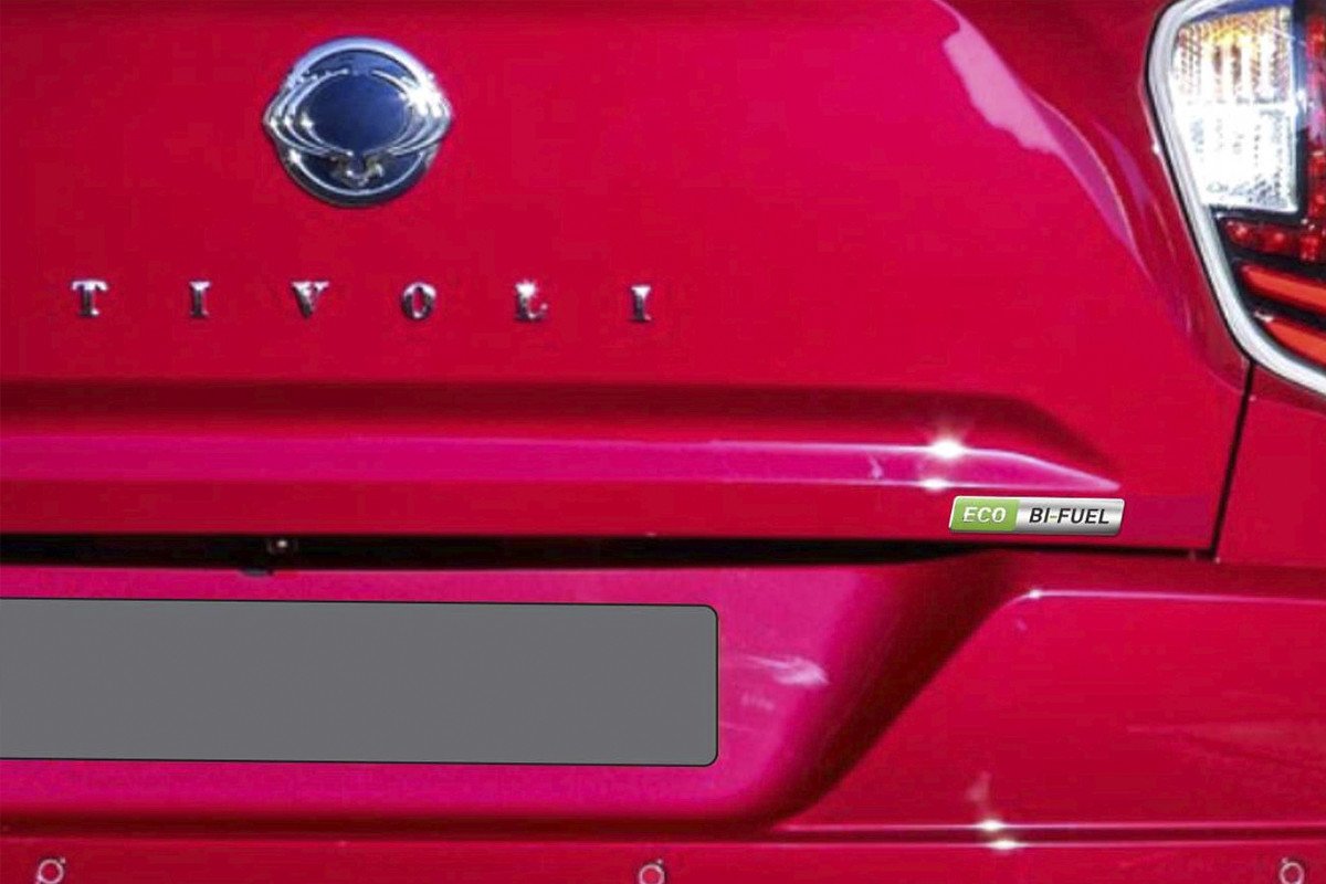 logo bi-fuel