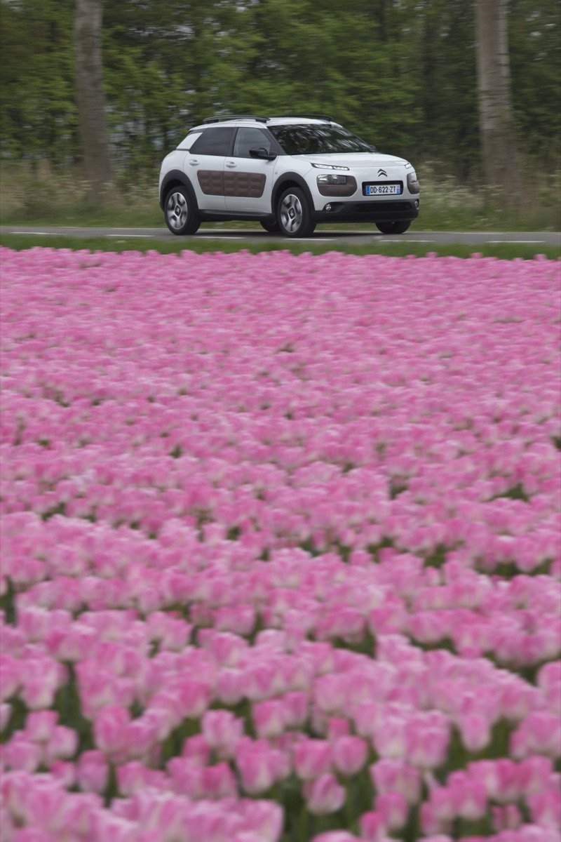 Prueba Citroën C4 Cactus: el SUV más rompedor, ya a la venta
